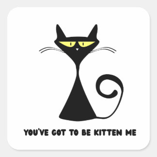 猫の面白グッズ "You’ve got to be kitten me" スクエアシール