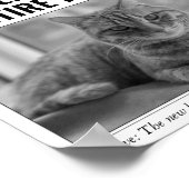 猫の面白ニュース写真新聞 ポスター (角)