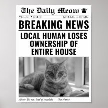 猫の面白ニュース写真新聞