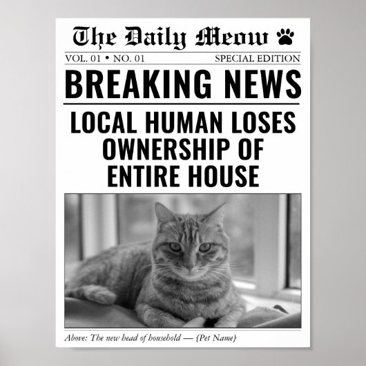 猫の面白ニュース写真新聞 ポスター (正面)