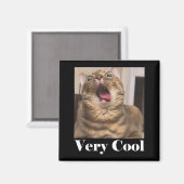 猫の面白画像 猫のユーモア 面白い猫 とてもC マグネット (正面/裏面)
