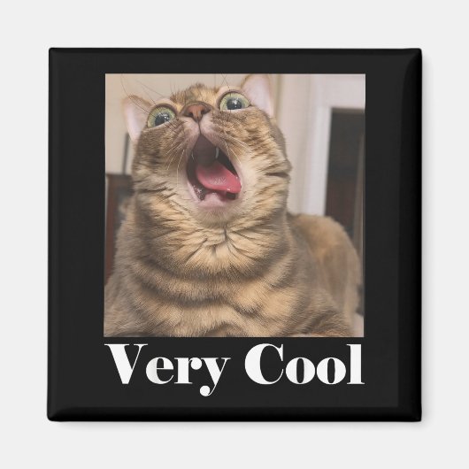 猫の面白画像 猫のユーモア 面白い猫 とてもC マグネット (正面)