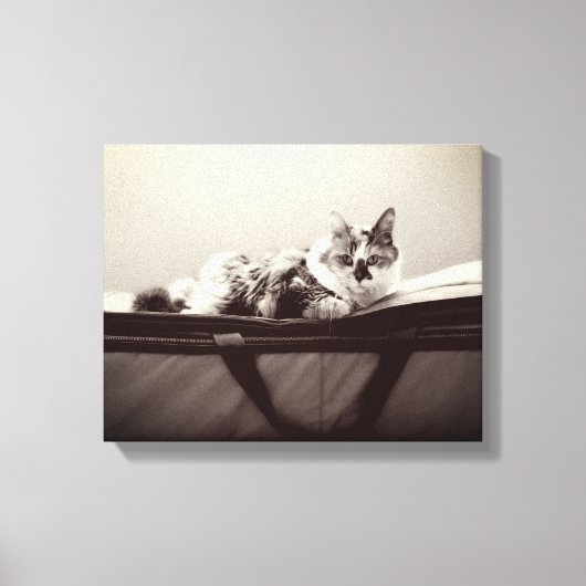 猫の鞄 キャンバスプリント (正面)