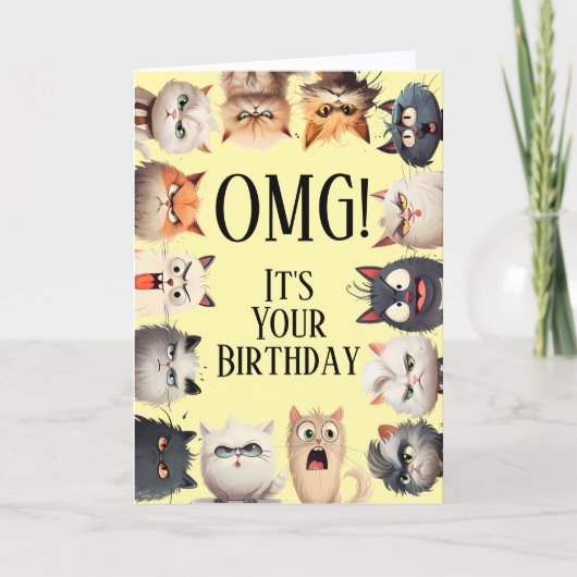 猫の顔が可愛い誕生日カード シーズンカード (正面)