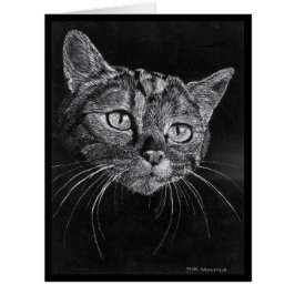 猫の顔の空白のなカード