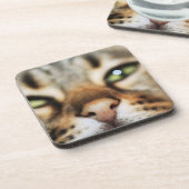 猫の顔 コースター (左側)