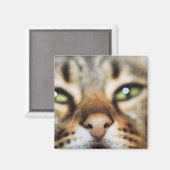 猫の顔 マグネット (正面/裏面)