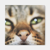 猫の顔 マグネット (正面)