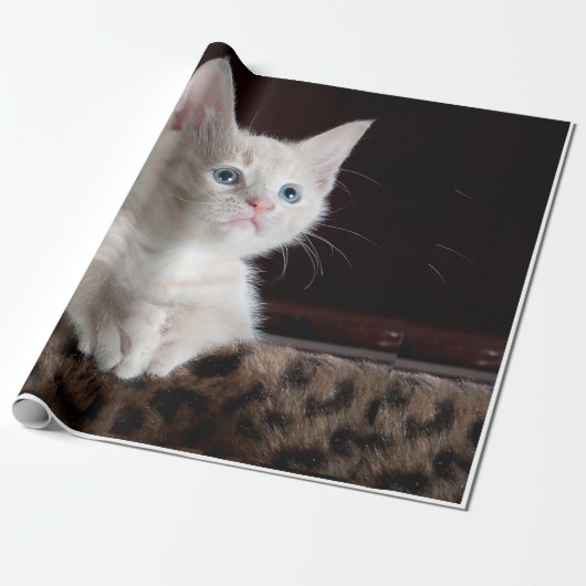 猫の顔 ラッピングペーパー (アンロールド)