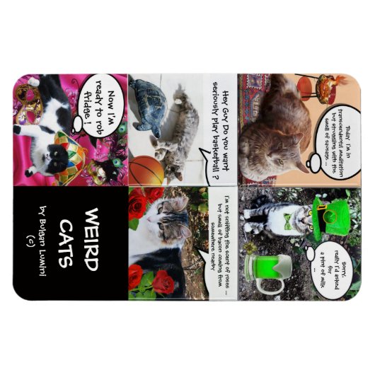 猫の風変わり話 マグネット (横)