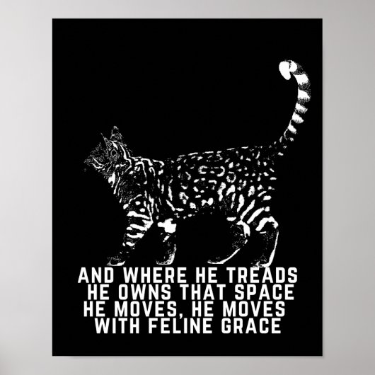 猫の風景詩の黒猫 ポスター (正面)