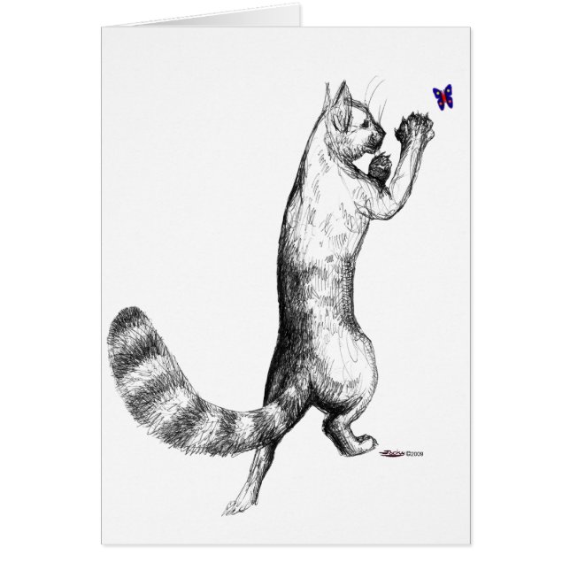 猫の飛び跳ね (正面)