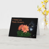 猫の食べ誕生日 カード (黄色い花)