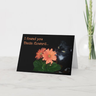 猫の食べ誕生日 カード