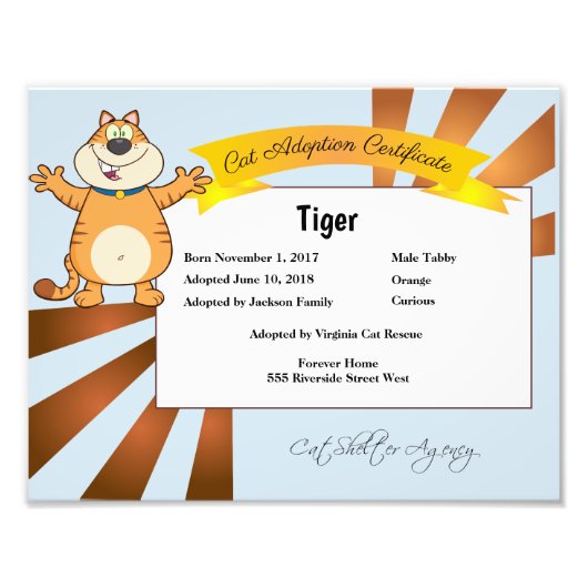 猫の養子縁組証明書 フォトプリント            (正面)