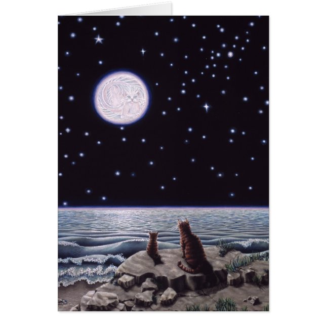 猫の魚の月のライトによって (正面)