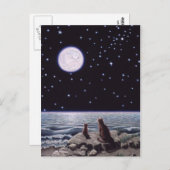 猫の魚の月の光 ポストカード (正面/裏面)