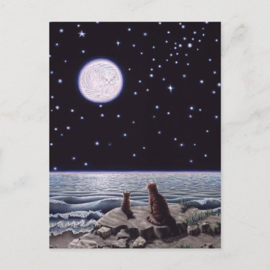 猫の魚の月の光 ポストカード (正面)