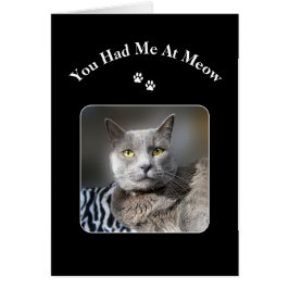 猫の鳴き声のロシアのな青猫で私がありました