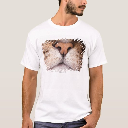 猫の鼻および口のマクロイメージ Tシャツ (正面)