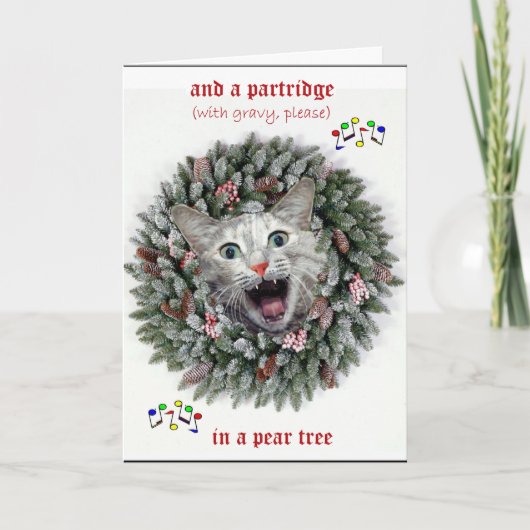猫の12日のクリスマス シーズンカード (正面)