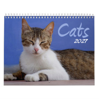 猫の2027年カレンダー カレンダー