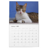 猫の2027年カレンダー カレンダー (1月 2027)