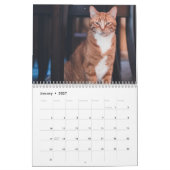 猫の2027年カレンダー カレンダー (1月 2027)