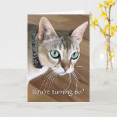 猫の60歳の誕生日カード カード (黄色い花)