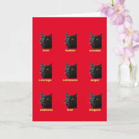 猫の9つの感情ベクターカットアウト カード (蘭)