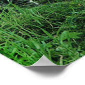 猫の9マイルのポスター ポスター (角)