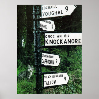 猫の9マイルのポスター ポスター