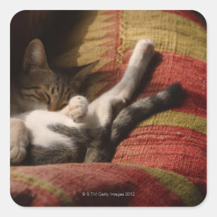 猫のLounging スクエアシール