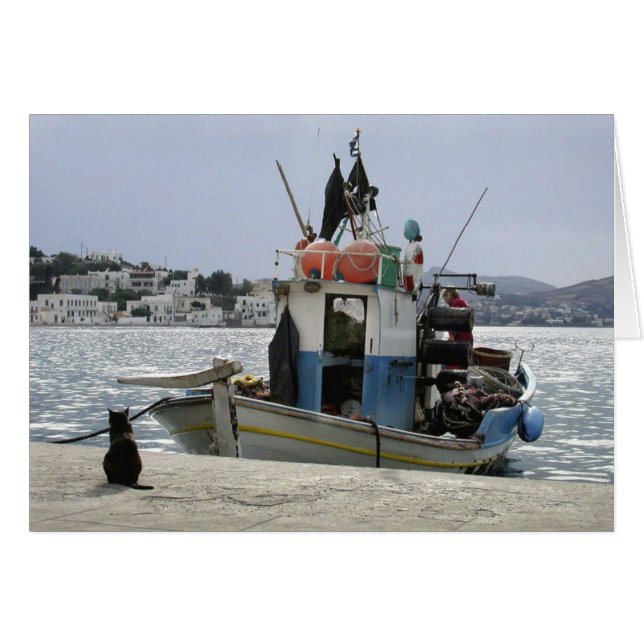 猫のLunchboat (正面横)