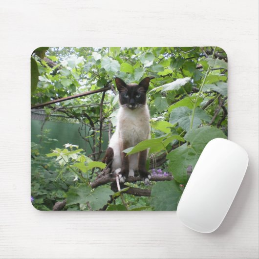 猫のmousepad マウスパッド (マウス)