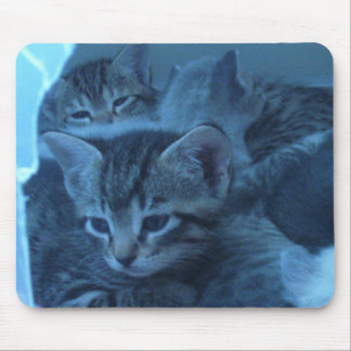 猫のmousepad マウスパッド