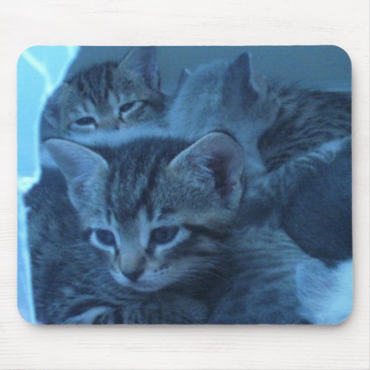 猫のmousepad マウスパッド (正面)
