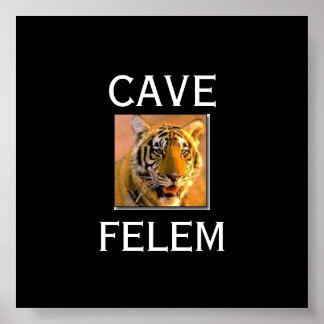 猫のTigerbWare – ラテン語….. -カスタマイズ. ポスター