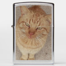 猫のZippoのクールなライター