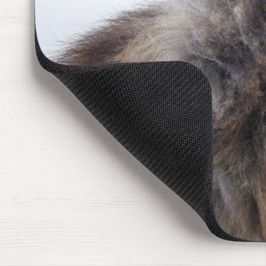 猫はおもしろい太ってない!濃い縞模様 マウスパッド (コーナー)