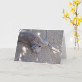 猫はお誕生日ケーキがほしいと思います! カード (黄色い花)