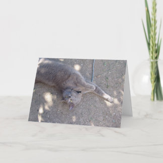 猫はお誕生日ケーキがほしいと思います! カード