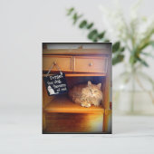 猫はがきに気を付ける ポストカード (スタンド正面)