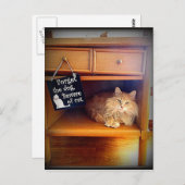 猫はがきに気を付ける ポストカード (正面/裏面)