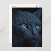 猫はがき ポストカード (正面/裏面)