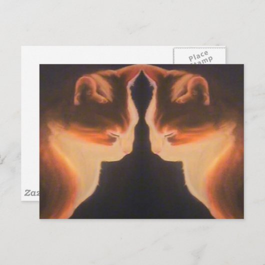 猫はがき ポストカード (正面/裏面)