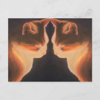 猫はがき ポストカード