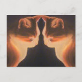 猫はがき ポストカード (正面)