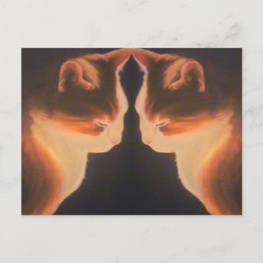 猫はがき ポストカード (正面)