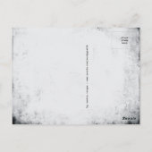 猫はがき ポストカード (裏面)